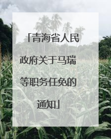 青海省人民政府关于马瑞等职务任免的通知