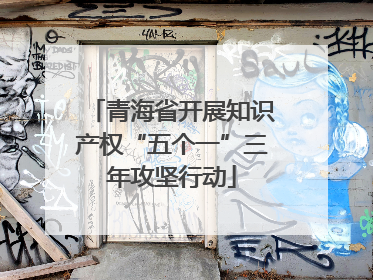青海省开展知识产权“五个一”三年攻坚行动