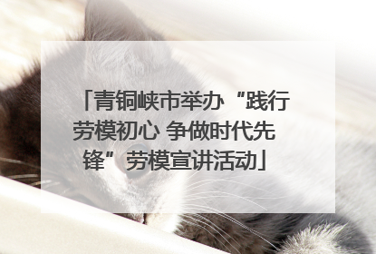 青铜峡市举办“践行劳模初心 争做时代先锋”劳模宣讲活动