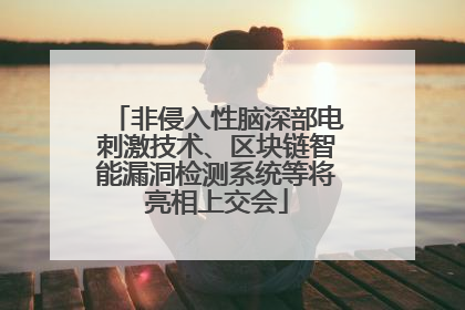 非侵入性脑深部电刺激技术、区块链智能漏洞检测系统等将亮相上交会