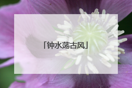 钟水荡古风