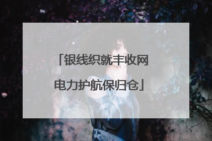 银线织就丰收网 电力护航保归仓