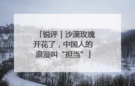锐评｜沙漠玫瑰开花了，中国人的浪漫叫“担当”