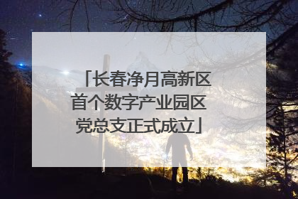 长春净月高新区首个数字产业园区党总支正式成立