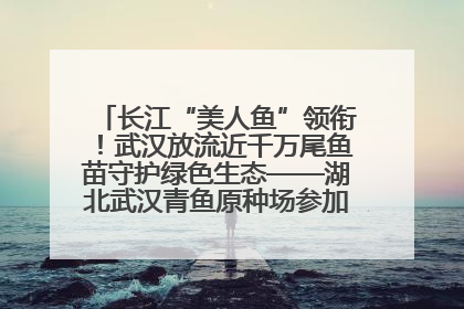 长江“美人鱼”领衔！武汉放流近千万尾鱼苗守护绿色生态——湖北武汉青鱼原种场参加2025年“全国放鱼日”增殖放流活动