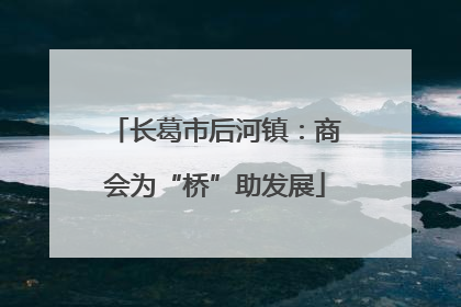 长葛市后河镇：商会为“桥”助发展
