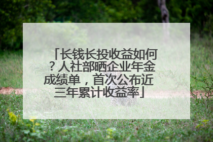 长钱长投收益如何？人社部晒企业年金成绩单，首次公布近三年累计收益率