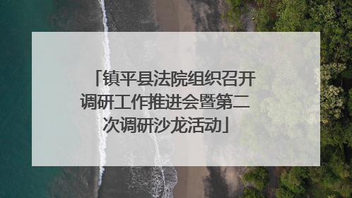 镇平县法院组织召开调研工作推进会暨第二次调研沙龙活动