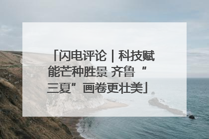 闪电评论｜科技赋能芒种胜景 齐鲁“三夏”画卷更壮美