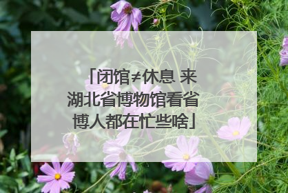 闭馆≠休息 来湖北省博物馆看省博人都在忙些啥