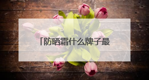 防晒霜什么牌子最好最安全？种草合集：2025十款值得入手的防晒品牌