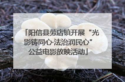 阳信县劳店镇开展“光影铸同心·法治润民心”公益电影放映活动