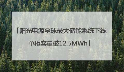 阳光电源全球最大储能系统下线 单柜容量破12.5MWh