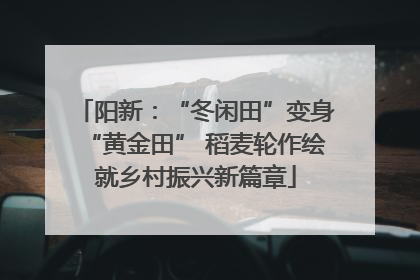 阳新：“冬闲田”变身“黄金田” 稻麦轮作绘就乡村振兴新篇章
