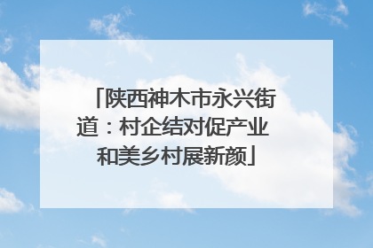 陕西神木市永兴街道：村企结对促产业 和美乡村展新颜