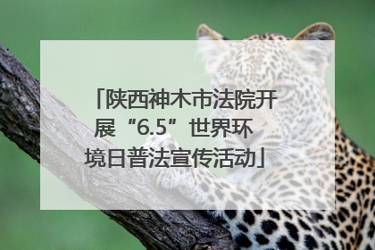 陕西神木市法院开展“6.5”世界环境日普法宣传活动