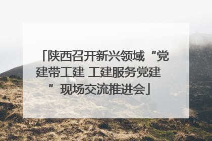 陕西召开新兴领域“党建带工建 工建服务党建”现场交流推进会