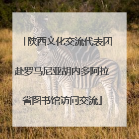 陕西文化交流代表团赴罗马尼亚胡内多阿拉省图书馆访问交流