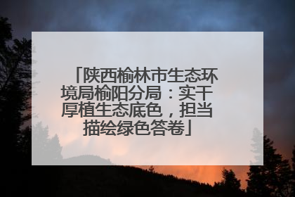 陕西榆林市生态环境局榆阳分局：实干厚植生态底色，担当描绘绿色答卷