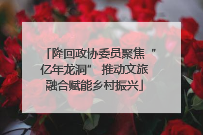 隆回政协委员聚焦“亿年龙洞” 推动文旅融合赋能乡村振兴