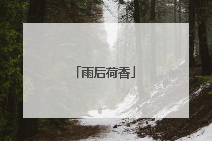雨后荷香