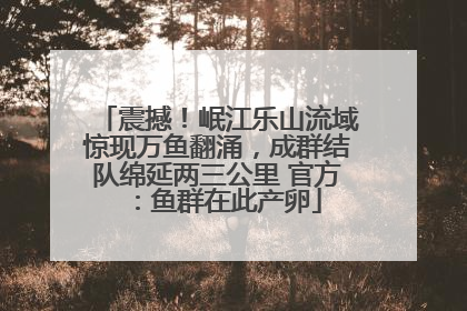 震撼！岷江乐山流域惊现万鱼翻涌，成群结队绵延两三公里 官方：鱼群在此产卵