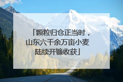 颗粒归仓正当时，山东六千余万亩小麦陆续开镰收获