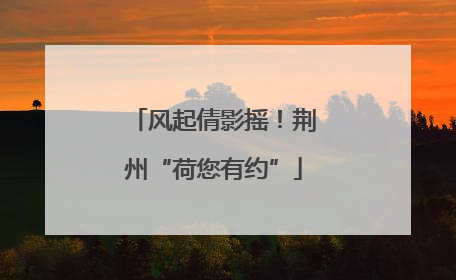 风起倩影摇！荆州“荷您有约”