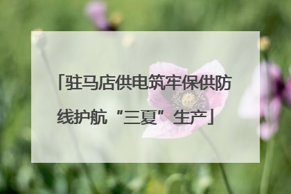驻马店供电筑牢保供防线护航“三夏”生产