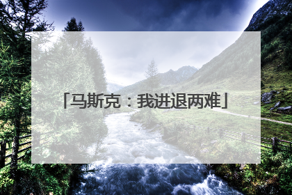 马斯克：我进退两难