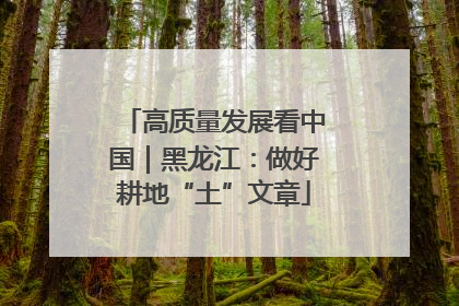 高质量发展看中国｜黑龙江：做好耕地“土”文章