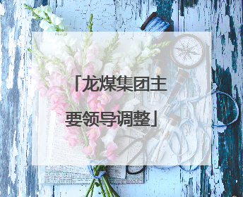 龙煤集团主要领导调整