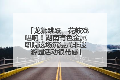 龙狮跳跃、花鼓戏唱响！湖南有色金属职院这场沉浸式非遗游园活动很带感