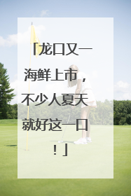 龙口又一海鲜上市，不少人夏天就好这一口！