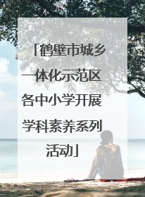 鹤壁市城乡一体化示范区各中小学开展学科素养系列活动