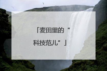麦田里的“科技范儿”