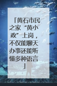 黄石市民之家“黄小政”上岗，不仅能聊天办事还能听懂多种语言