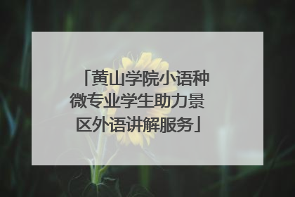 黄山学院小语种微专业学生助力景区外语讲解服务