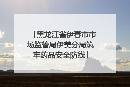 黑龙江省伊春市市场监管局伊美分局筑牢药品安全防线