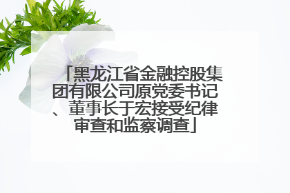 黑龙江省金融控股集团有限公司原党委书记、董事长于宏接受纪律审查和监察调查