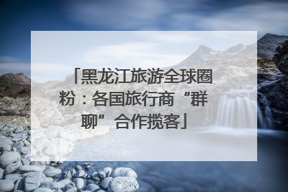 黑龙江旅游全球圈粉：各国旅行商“群聊”合作揽客