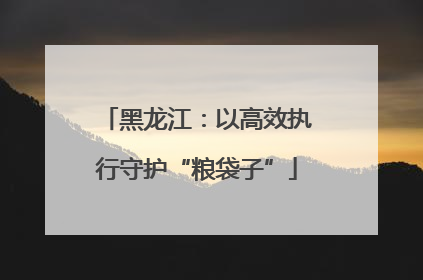 黑龙江：以高效执行守护“粮袋子”