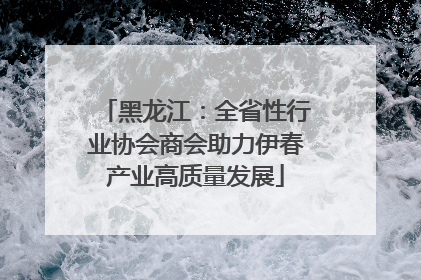 黑龙江：全省性行业协会商会助力伊春产业高质量发展