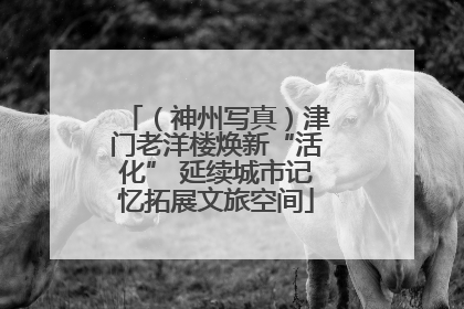 （神州写真）津门老洋楼焕新“活化” 延续城市记忆拓展文旅空间