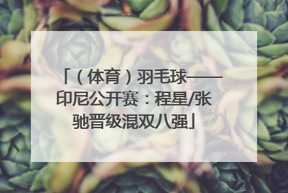 （体育）羽毛球——印尼公开赛：程星/张驰晋级混双八强