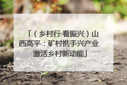 （乡村行·看振兴）山西高平：矿村携手兴产业 激活乡村新动能