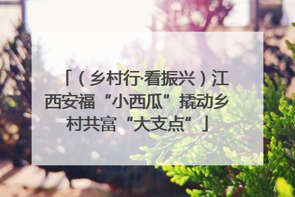（乡村行·看振兴）江西安福“小西瓜”撬动乡村共富“大支点”