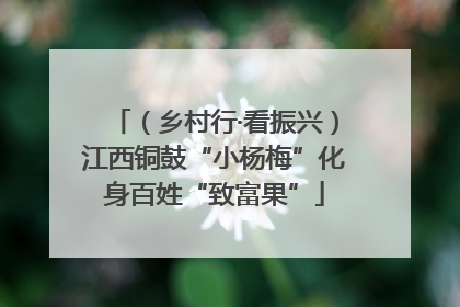 （乡村行·看振兴）江西铜鼓“小杨梅”化身百姓“致富果”