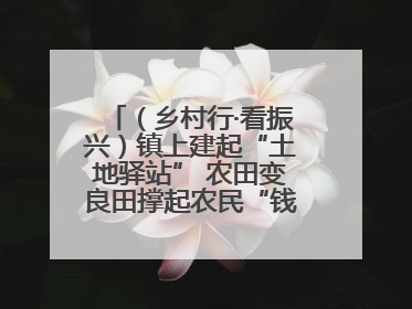 （乡村行·看振兴）镇上建起“土地驿站” 农田变良田撑起农民“钱袋子”