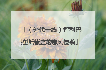 （外代一线）智利巴拉斯港遭龙卷风侵袭